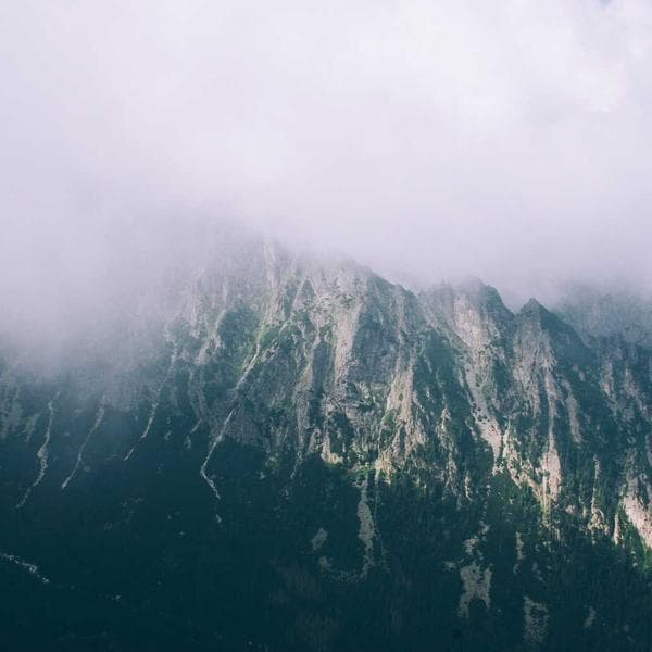 Welur Pudrowy Róż